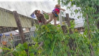 Under The Rain!! Toto and Yaya are happily playing, jumping under the rain