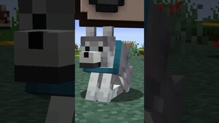 minecraft has 111 MILLION dogs