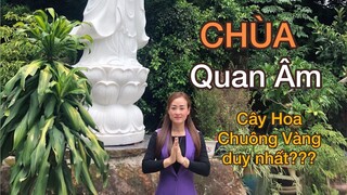 Ngôi Chùa có CÂY HOA CHUÔNG VÀNG duy nhất ở Đà Lạt?|Chùa đẹp Đà Lạt.