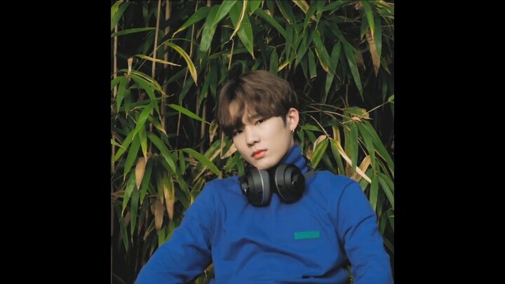 BOYHOOD (남동현) - 이 고요가 너무 좋아