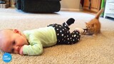 Funny Babies Growing Up With Their Pets | TRY NOT TO LAUGH