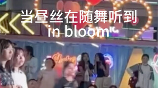 当昼丝在随舞听到in bloom…