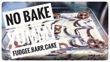FUDGEE BARR CAKE | NO BAKE NO COOK CAKE | PERFECT FOR A KID'S OCCASION