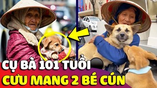 Cảm động bà cụ 101 tuổi dù cuộc sống 'VẤT VẢ' vẫn đi nhặt rác nuôi '2 BÉ CÚN' làm bạn 🥰 Gâu Đần