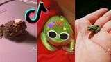 TikToks that hop - Frogs and Toads of Tiktok #3