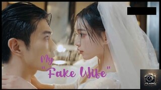 My Fake Wife Ep. 9-16