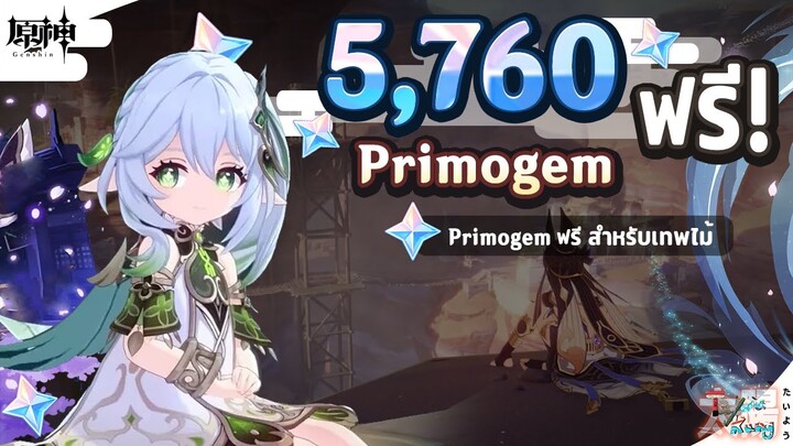 5,760 Primogem ฟรี! สำหรับกดเทพไม้ Nahida! ✦ Genshin Impact