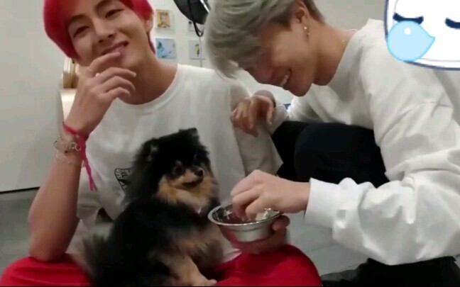 Kim Tae Hyung & JiMin with a puppy