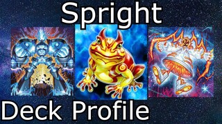 Top 16 Euros Spright Deck Profile - Georgi Danev Yu-Gi-Oh! 2022