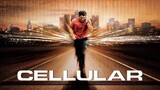 2004 (ACTION) CELLULAR