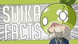 5 Facts About Suika - Dr. Stone