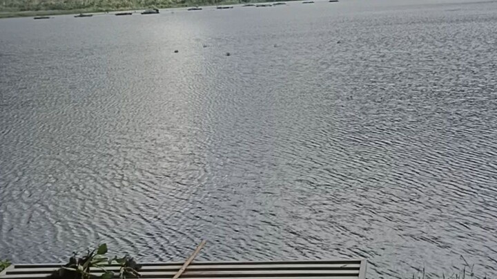 Lake Leonard Maco Davao de Oro 2022