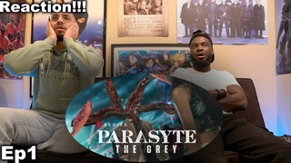 기생수: 더 그레이 Parasyte: The Grey Episode 1 | Reaction