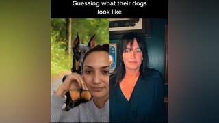 duet with  how many breeds can you name? potentialbreakupsong dogmom dogs funnydogs