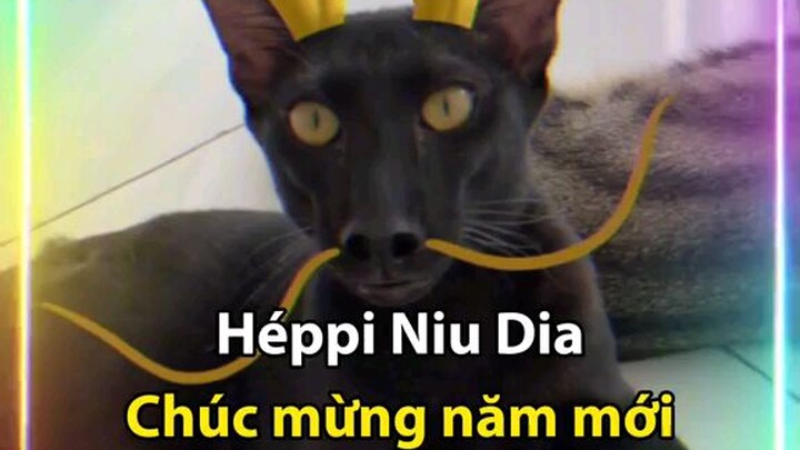 sắp nghĩ tết r ae sắp có lì xì :)))