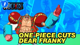 Dear Franky - One Piece Cuts_1