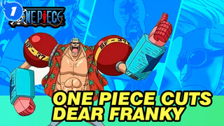 Dear Franky - One Piece Cuts_1