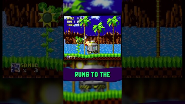 UNDISCOVERED Sonic the Hedgehog (1991) GLITCH!