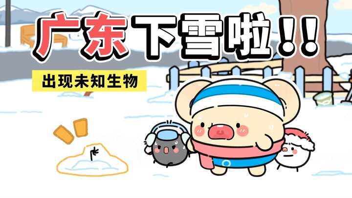太好了，是广东百年一遇的雪！【早安蛋蛋】