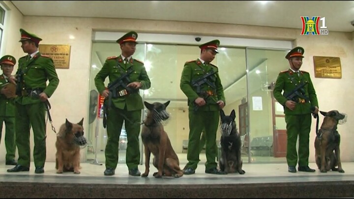 Triển khai chó nghiệp vụ trong công tác tuần tra an ninh trật tự theo Mệnh lệnh 01 | Camera 141