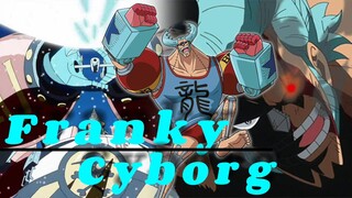 Mekanik Handal! 'FRANKY CYBORG' One piece.