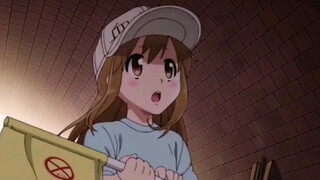 [MAD][AMV]Cute moments in <Cells at Work!>|<Renai circulation>