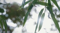 Hồng Y Túy EP 8 [Sub Việt]