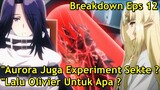 KEBENARAN TENTANG PAHLAWAN OLIVIER, DIABOLOS & SANCTUARY !! | BREAKDOWN EPS 12 KAGE NO JITSURYOKUSHA