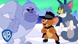 Tom y Jerry en Latino | El problema del Yeti | WB Kids