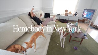 Homebody in New York | An introvert's chaotic week cooking, binge watching kdrama, and cleaning!