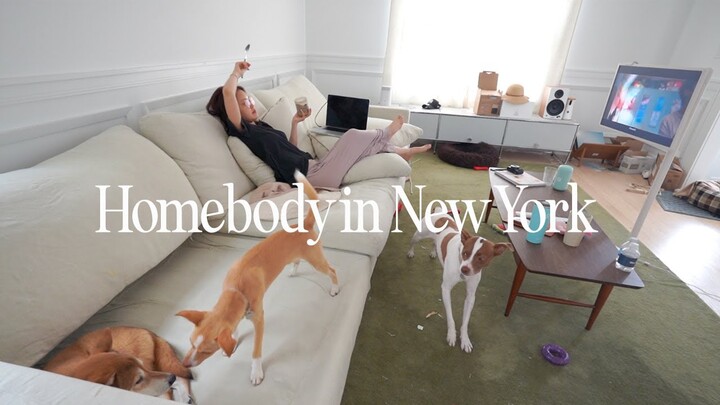 Homebody in New York | An introvert's chaotic week cooking, binge watching kdrama, and cleaning!