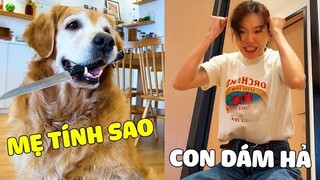 Đại Trang | Đại Trang Làm Liều Khi Mẹ Dám Chơi Xấu Mình Và Hậu Quả Thì  🤣 Gâu Đần Official