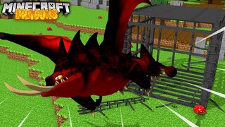 DEATHGRIPPER QUEEN ESCAPES! - Minecraft Dragons