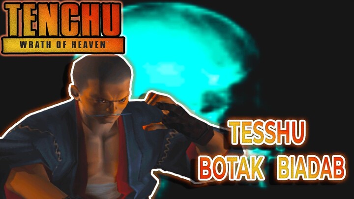 Tesshu in Echigoya Layout 02 - Tenchu Wrath of Heaven #07