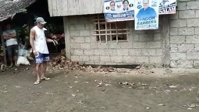 Panalo pero patay din..