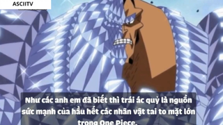 Top 7 Trái Paramecia Phòng Thủ Cực Mạnh Trong One Piece #2-1