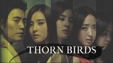 The Thorn Birds E4 | Melodrama | English Subtitle | Korean Drama