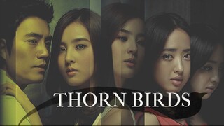 The Thorn Birds E1 | Melodrama | English Subtitle | Korean Drama