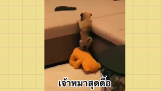 เพื่อนตัวน้อย สัตว์เลี้ยงแสนซน : เจ้าหมาสุดดื้อ