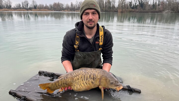 Carp :)