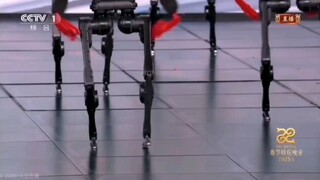 【】试着机械地跳了【】