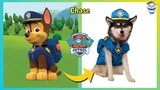 Paw Patrol Characters In Real Life 2022