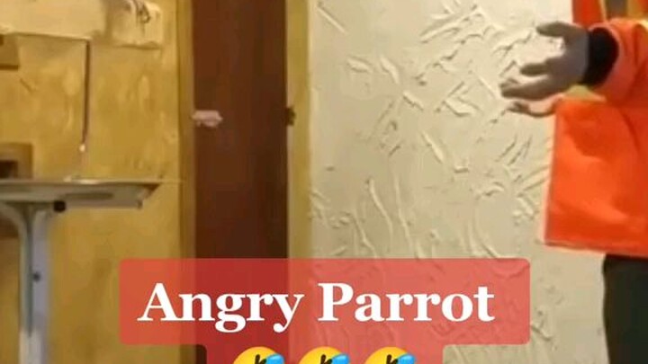 Angry Parrot