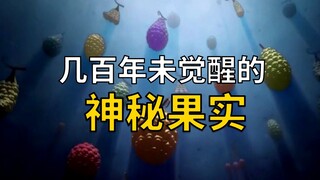 再聊神秘果实！不是已知的任何一种！【阿旺】