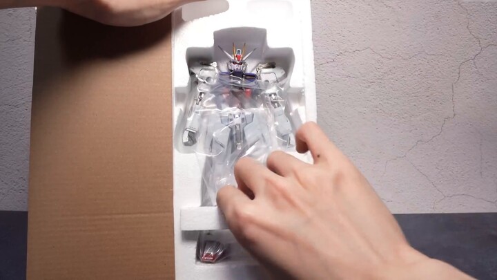 The whole paint job has changed? Tokyo Soul Store Limited MB Naked Strike Gundam Factory Ver. SEED M