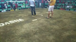 2hits champion 1st fight