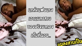 นอนทั้งวันต้องเจอแบบนี้ แต่สุดท้ายบินทั่วห้อง!! รวมคลิปฮาพากย์ไทย