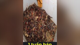 nó ngon tuyệt đỉnh tythygoiđuđu xuhuong giaitri vuinhon haihuoc hai funnytiktok changa funny tythy tratac bovientythy tythygoi bakhia