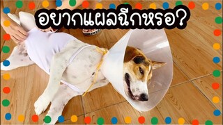 โลกของแสนดี ตอน เดี๋ยวจะไปฟ้องคุณหมอ