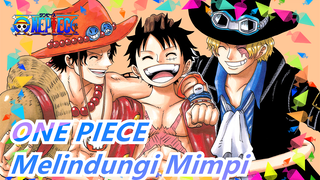 [ONE PIECE] Aku Adalah Kapten, Tugasku Adalah Melindungi Mimpi Pasanganku